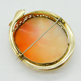 Victorian High-Carat Gold Diamond Eye Snake Mounted Cameo Brooch Antique c1840