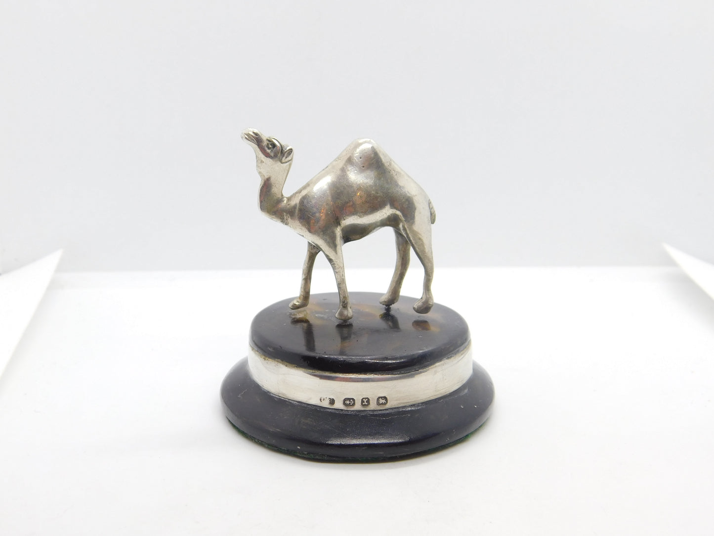 Victorian Cast Sterling Silver Camel on Wooden Plinth Antique 1897 Birmingham