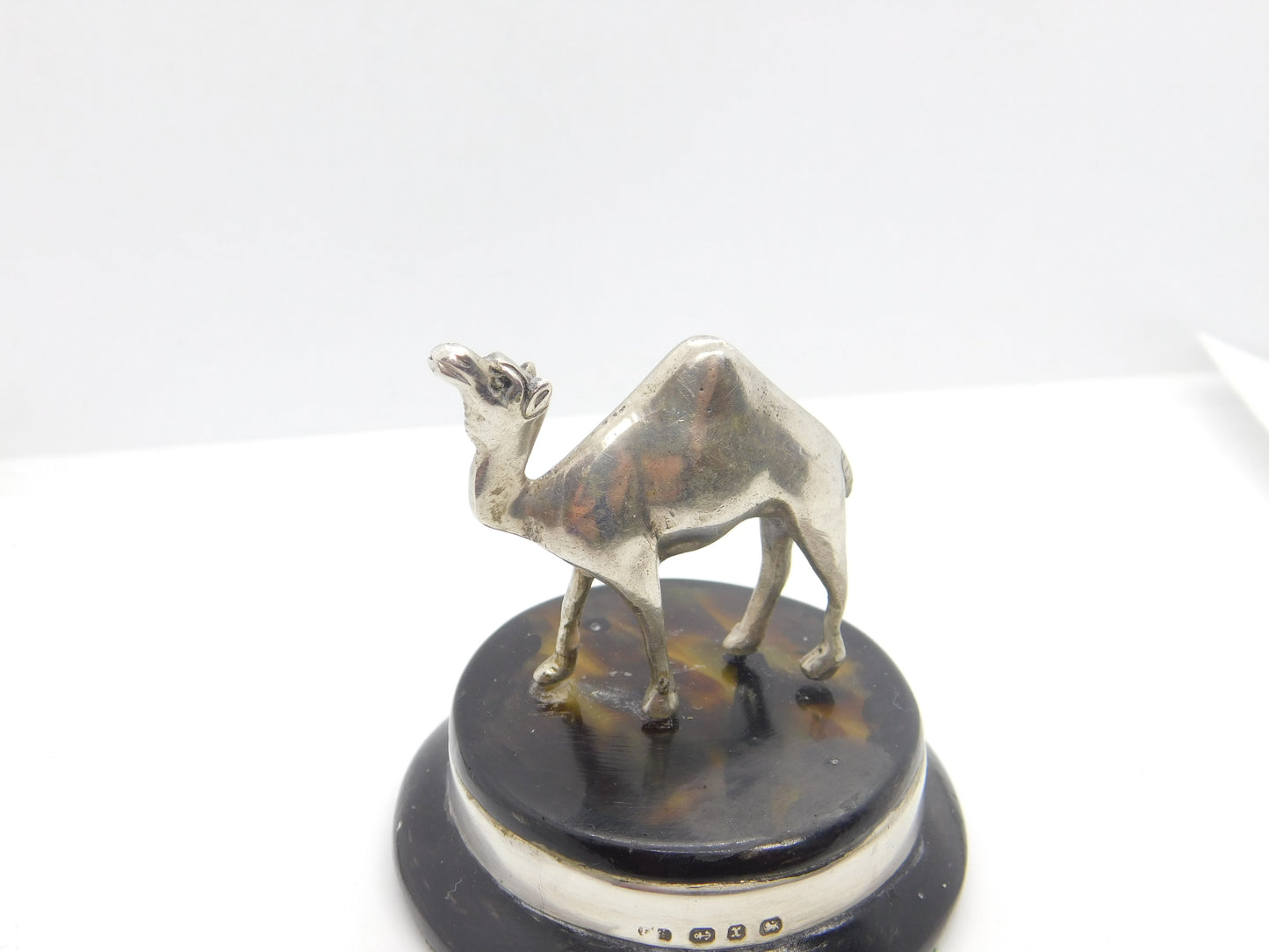 Victorian Cast Sterling Silver Camel on Wooden Plinth Antique 1897 Birmingham