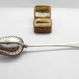 Victorian Sterling Silver 'Teaette' Tea Infuser Spoon 1892 London George Gray