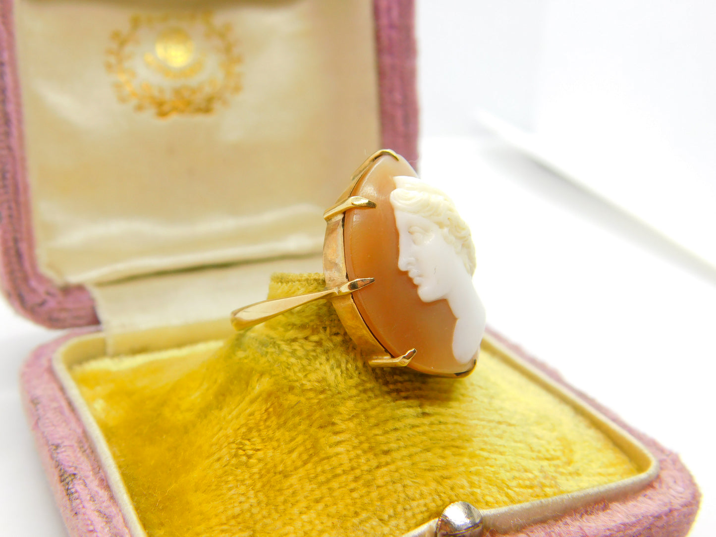 Large 9ct Yellow Gold & Classical Shell Cameo Dress Ring Antique c1930 Art Deco