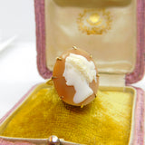Large 9ct Yellow Gold & Classical Shell Cameo Dress Ring Antique c1930 Art Deco