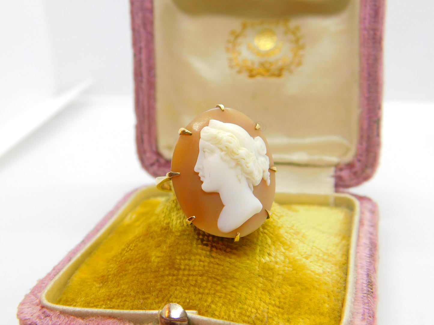 Large 9ct Yellow Gold & Classical Shell Cameo Dress Ring Antique c1930 Art Deco