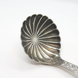 George III Sterling Silver Bright Cut Shell Bowl Tea Caddy Spoon 1802 Birmingham