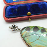 Large Sterling Silver & Morpho Butterfly Wing Drop Pendant Antique c1920 Deco