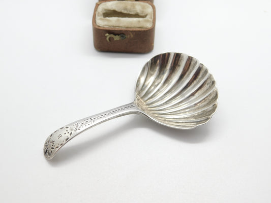 Georgian Sterling Silver Scallop Shell Bowl Tea Caddy Spoon London, 1792 Antique