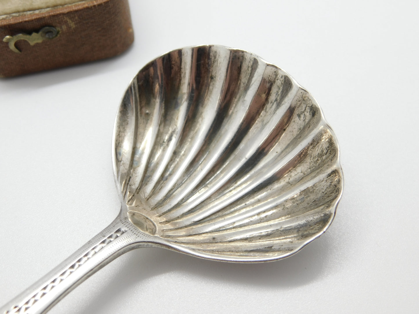 Georgian Sterling Silver Scallop Shell Bowl Tea Caddy Spoon London, 1792 Antique