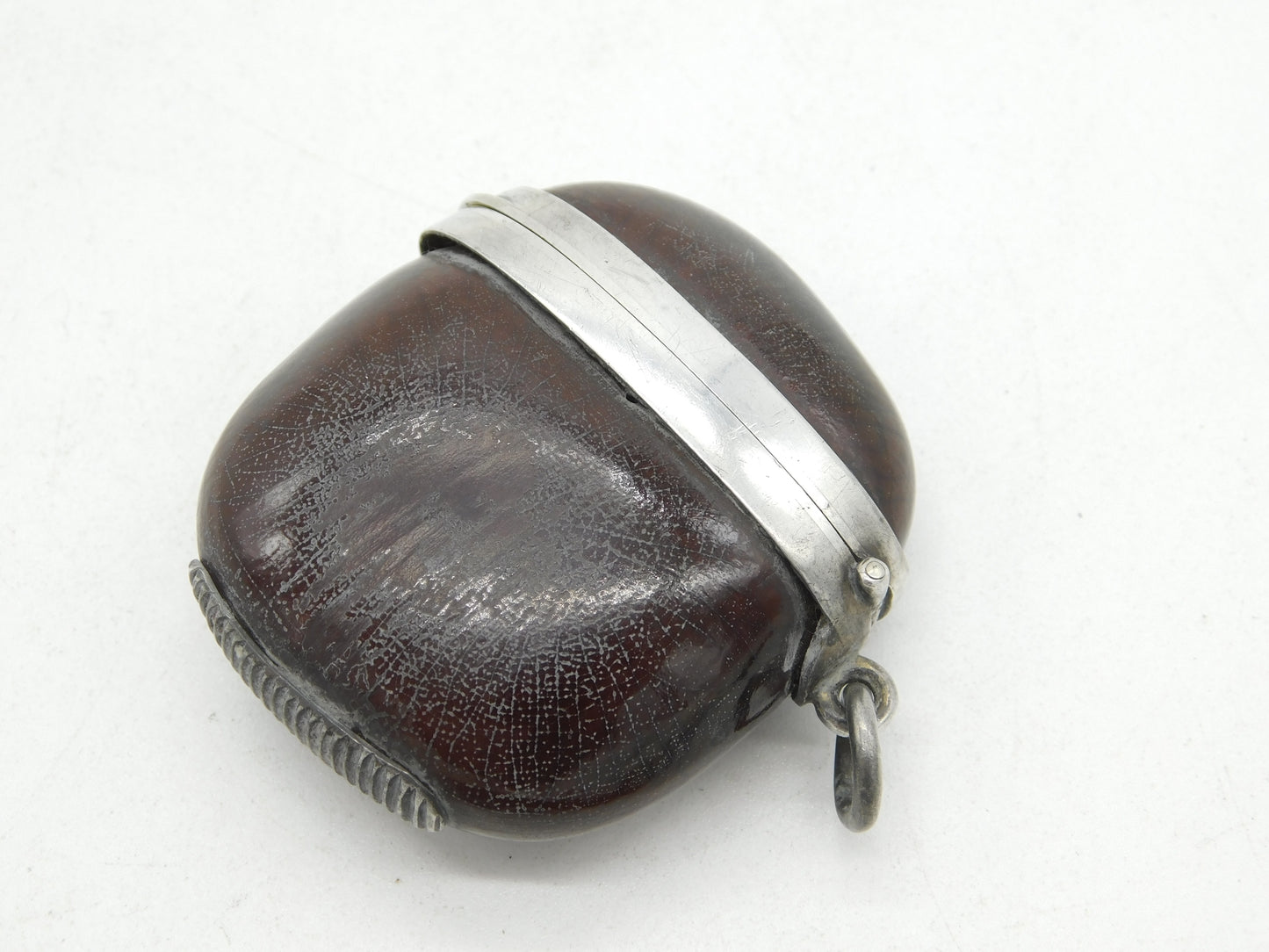 Edwardian Sterling Silver & Kola Nut Vesta Case Antique c1904 'V.R Henley'