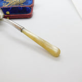 Edwardian Sterling Silver Gilt & Mother of Pearl Sugar Scoop Antique 1909 Chester