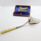Edwardian Sterling Silver Gilt & Mother of Pearl Sugar Scoop Antique 1909 Chester