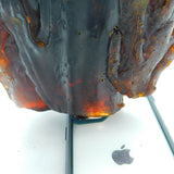 Large Raw Organic Baltic Amber Specimen Uncut 1.28kg
