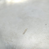 Chinese Export Sterling Silver Flower & Bird Pattern Salver Dish Antique c1930