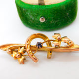 Edwardian 9ct Gold, Horseshoe & Leaf Pattern Sweetheart Brooch Antique 1907