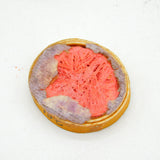 Grand Tour Regency Collection of Twenty-Five Mounted Classical Wax Cameos Antique c1830