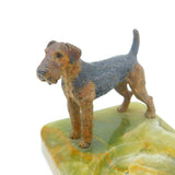 Edwardian Cold Painted Bronze Airedale Dog & Green Onyx Ashtray Antique c1910