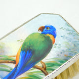 Sterling Silver & Colourful Enamel Parrot Clothes Brush Antique 1927 London