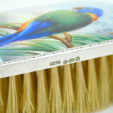 Sterling Silver & Colourful Enamel Parrot Clothes Brush Antique 1927 London