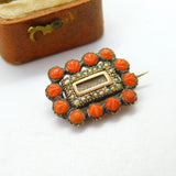 Georgian 9ct Gold, Carved Red Coral, Seed Pearl & Hair Set Mourning Brooch c1820