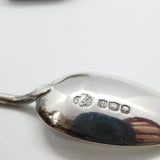 Sterling Silver Camel Head Terminal Novelty Teaspoon 1928 Sheffield Antique