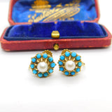 Edwardian 9ct Gold, Turquoise & Pearl Screw Back Earrings Antique c1910