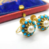 Edwardian 9ct Gold, Turquoise & Pearl Screw Back Earrings Antique c1910