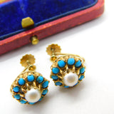 Edwardian 9ct Gold, Turquoise & Pearl Screw Back Earrings Antique c1910