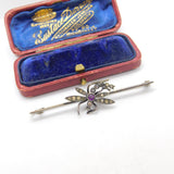 Edwardian Sterling Silver Gilt Dragonfly Paste Suffragette Brooch Antique c1910