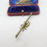 Edwardian Sterling Silver Gilt Dragonfly Paste Suffragette Brooch Antique c1910