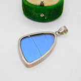 Sterling Silver Mounted Morpho Butterfly Wing Drop Pendant Antique c1940 Deco