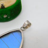 Sterling Silver Mounted Morpho Butterfly Wing Drop Pendant Antique c1940 Deco