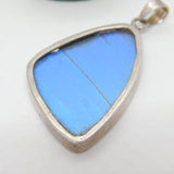 Sterling Silver Mounted Morpho Butterfly Wing Drop Pendant Antique c1940 Deco