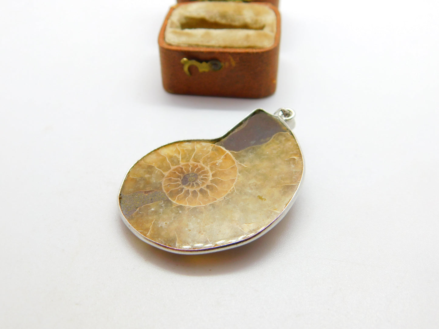 Sterling Silver Large Ammonite Fossil Set Drop Pendant Vintage c1970