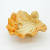 Grainger Royal Worcester Blush Porcelain Large Shell Bowl Antique c1920 Deco