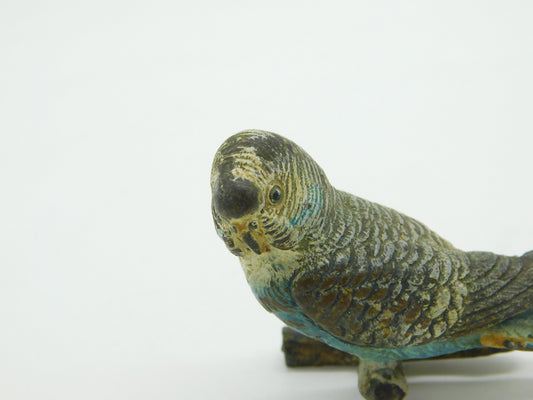 Victorian Cold Painted Vienna Bronze Blue Budgerigar Figure Antique c1860