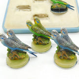 Boxed Asprey & Co Cold Painted Spelter, Onyx & Chrome Budgie Place Settings Antique c1920