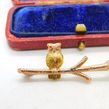 9ct Yellow Gold Owl Perched on Branch Bar Brooch Vintage 1963 Birmingham
