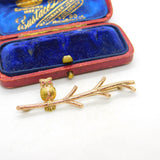 9ct Yellow Gold Owl Perched on Branch Bar Brooch Vintage 1963 Birmingham