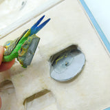 Boxed Asprey & Co Cold Painted Spelter, Onyx & Chrome Budgie Place Settings Antique c1920