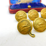Victorian Set of Gilt Metal Beagling Hunt Buttons Hare Pattern c1880 Reynolds Co