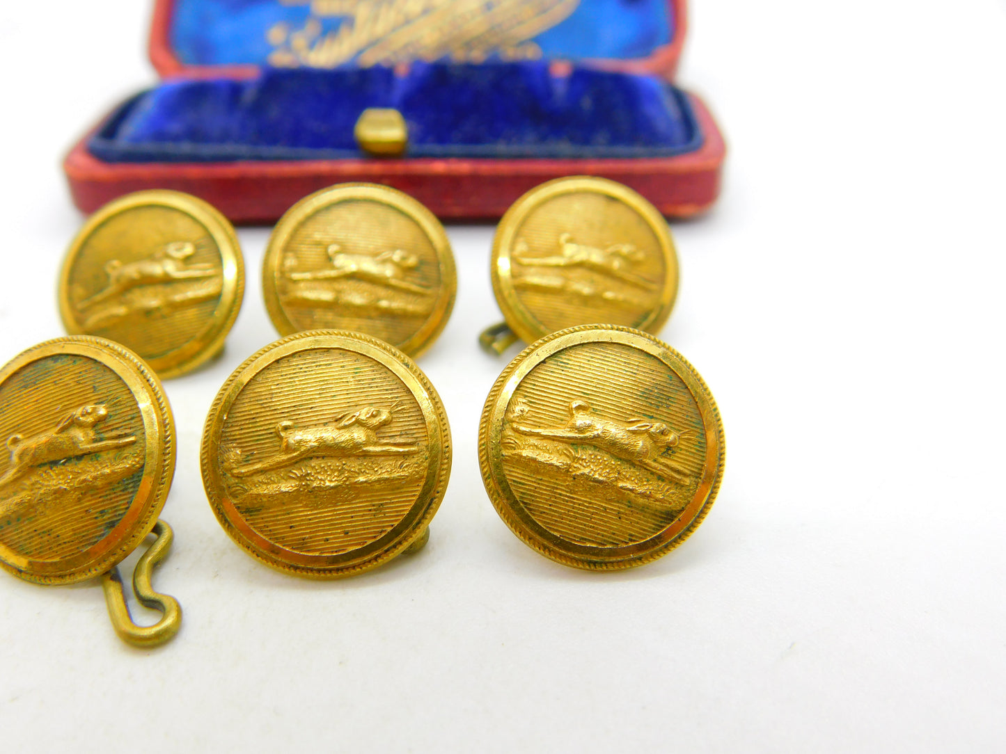 Victorian Set of Gilt Metal Beagling Hunt Buttons Hare Pattern c1880 Reynolds Co