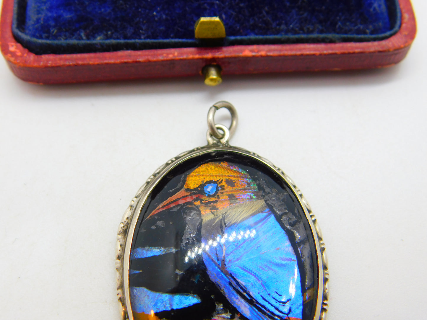 Sterling Silver Morpho Butterfly Wing Set Kingfisher Bird Pendant c1920 Antique