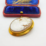 Victorian 9ct Yellow Gold Framed Carved Shell Cameo Brooch Antique c1880