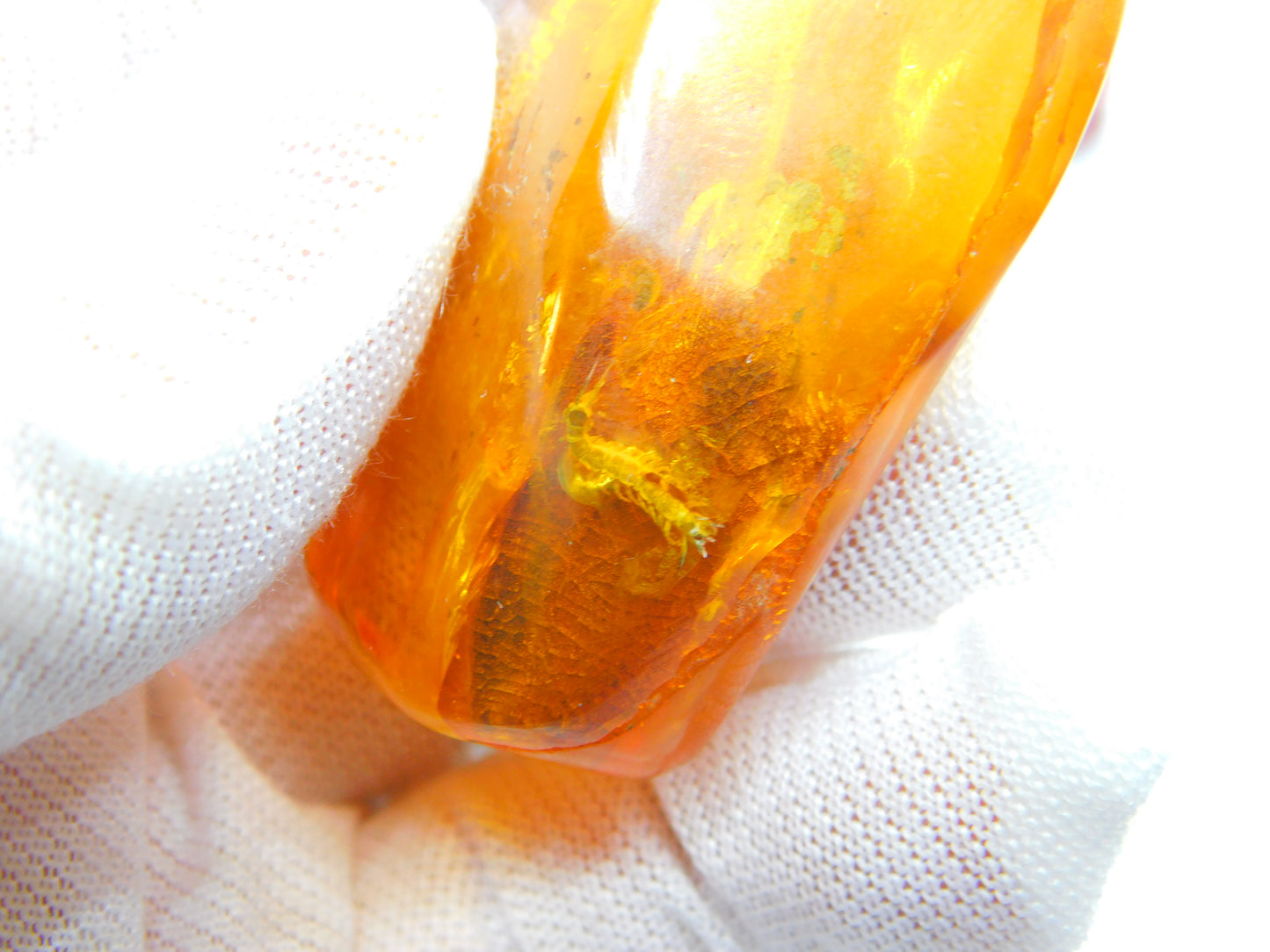 Large Specimen of Natural Baltic Amber with Bugs Enclosed Fossilised Antique