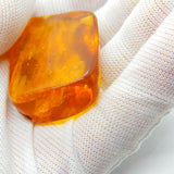Large Specimen of Natural Baltic Amber with Bugs Enclosed Fossilised Antique