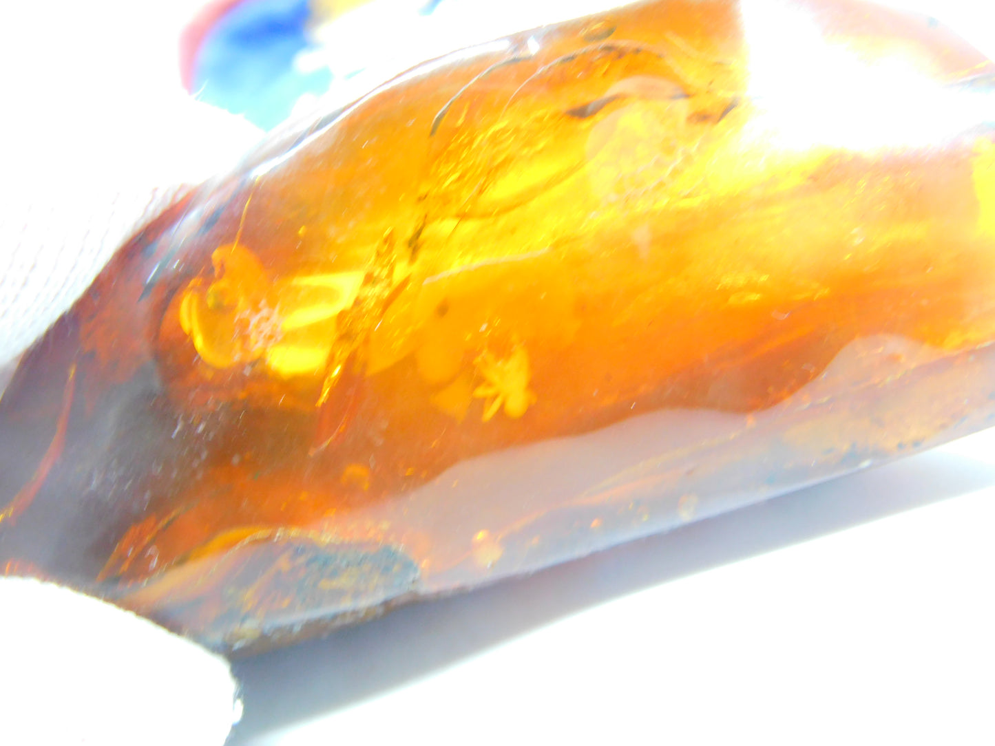 Large Specimen of Natural Baltic Amber with Multiple Insects Enclosed Antique