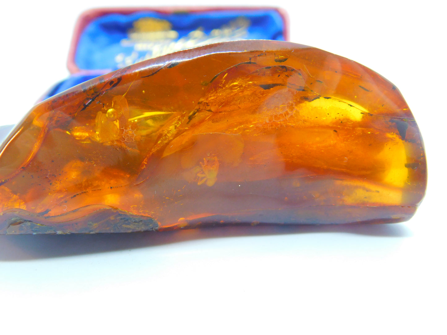 Large Specimen of Natural Baltic Amber with Multiple Insects Enclosed Antique