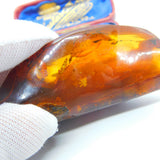 Large Specimen of Natural Baltic Amber with Multiple Insects Enclosed Antique
