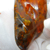 Large Specimen of Natural Baltic Amber with Multiple Insects Enclosed Antique