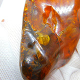 Large Specimen of Natural Baltic Amber with Multiple Insects Enclosed Antique