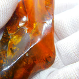 Large Specimen of Natural Baltic Amber with Multiple Insects Enclosed Antique